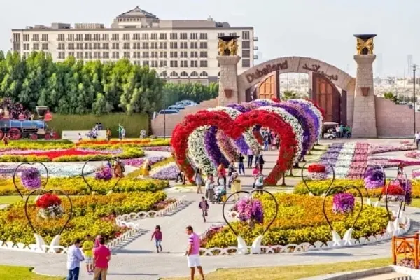 Arjan 社区实景