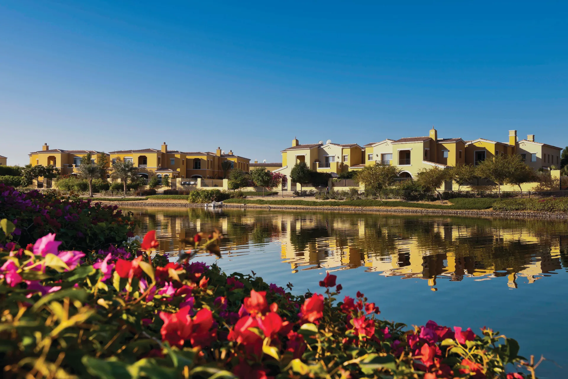 Wadi Al Safa 4 社区实景