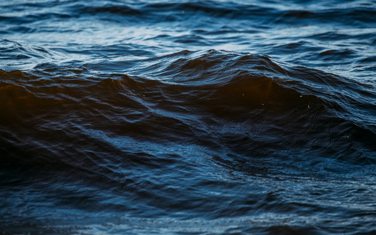 景观泳池